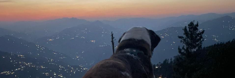 RajputSen's profile banner image