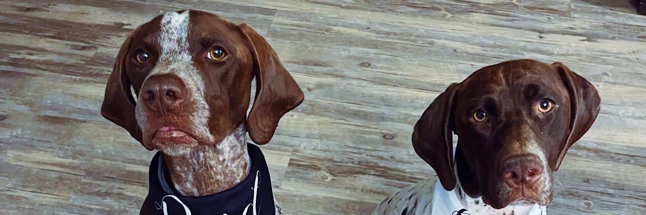 taylormcorey's profile banner image