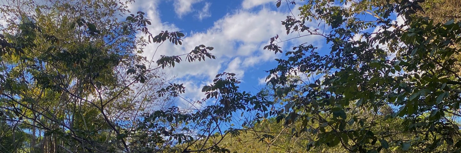 tdiniz_'s profile banner image
