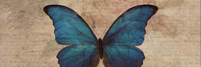 _EiAmor's profile banner image