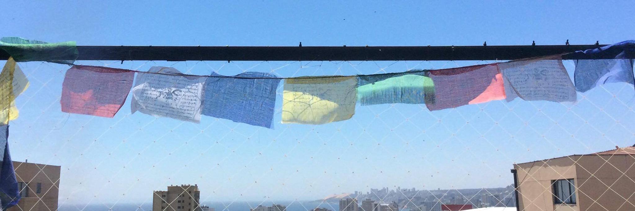 Daniela Lazcano-Peña banner