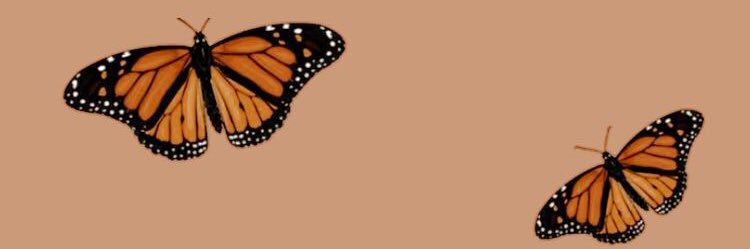 lizabethhailey's profile banner image