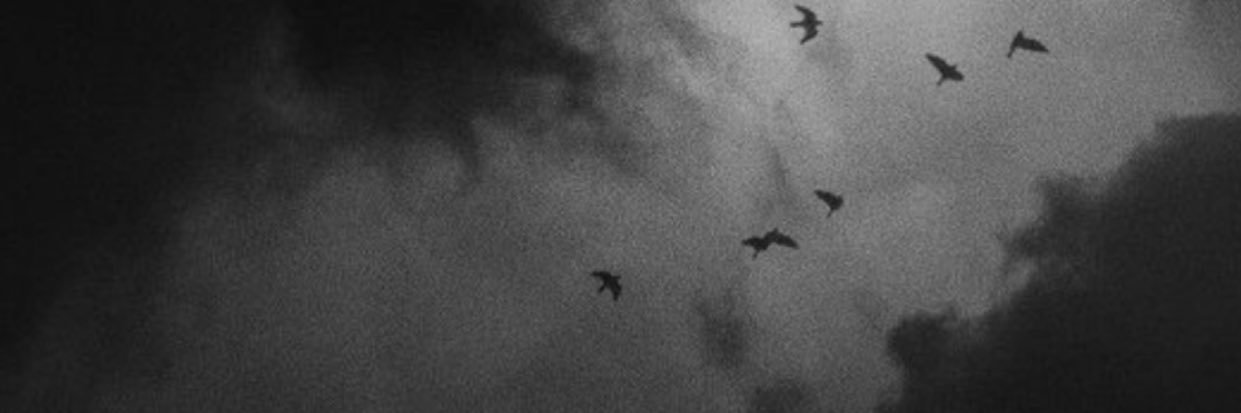 Fatima. banner