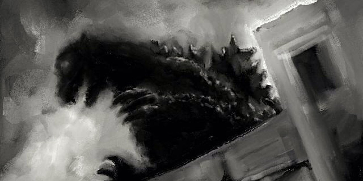Kvis229's profile banner image