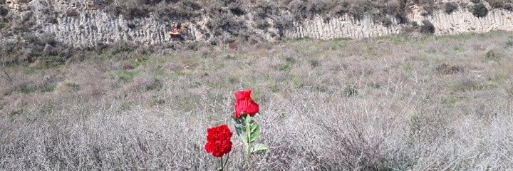 Daphn Делфин 🌹🌹🌹🌹🔻 banner