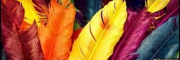 reebz17's profile banner image
