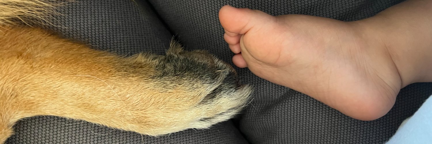 Eran Yacobovitch banner