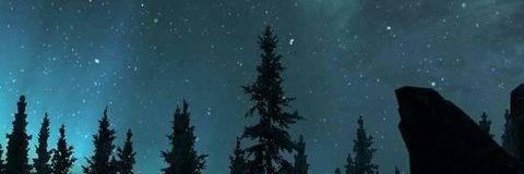 LorraineDBacker's profile banner image