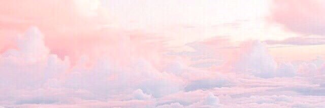 NortonMikhaila's profile banner image