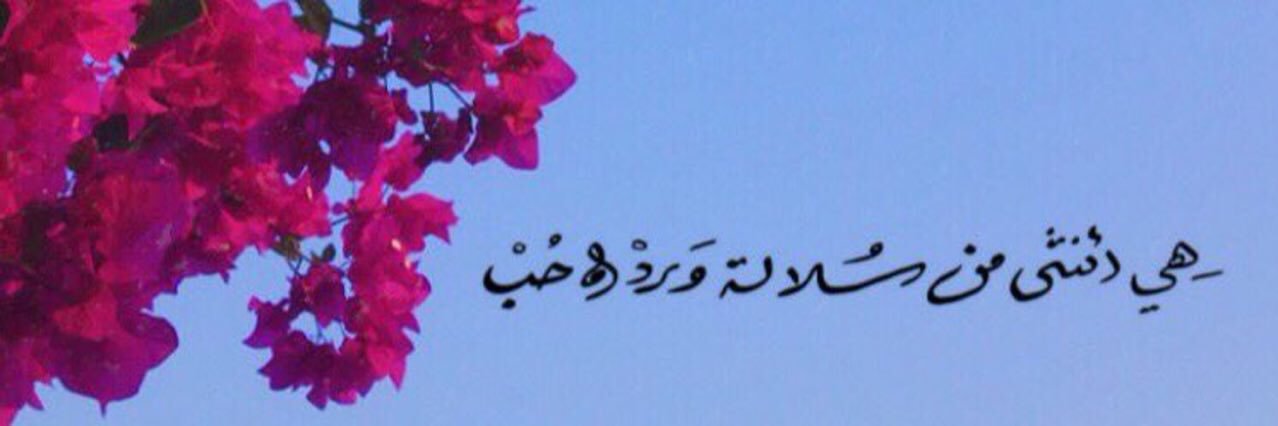 xtree98's profile banner image
