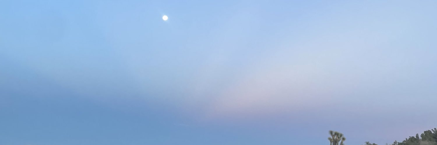 a_c_amille's profile banner image