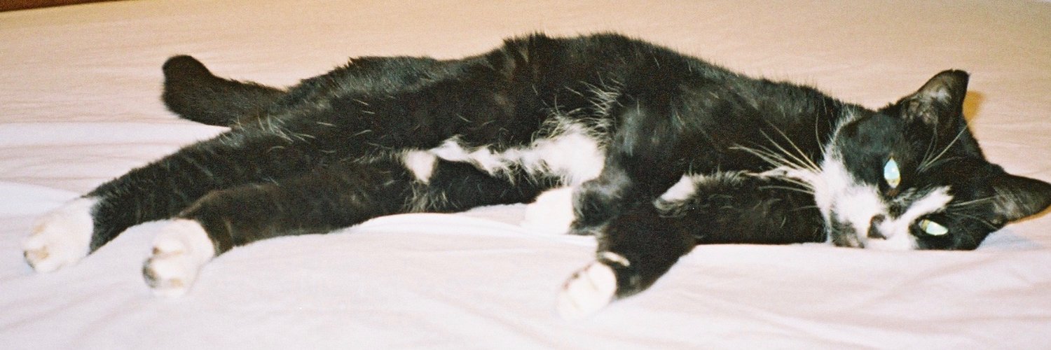 Caroline Raphael banner