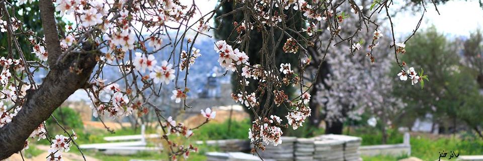 SihamYachi's profile banner image