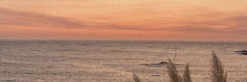 RocioMoreno99's profile banner image