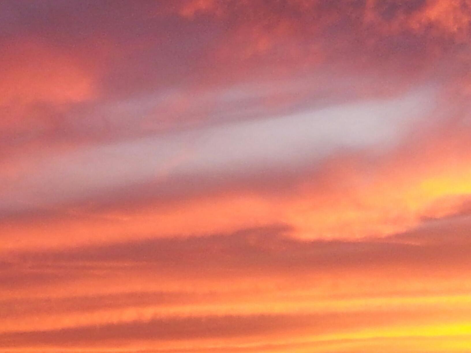Smelloid's profile banner image
