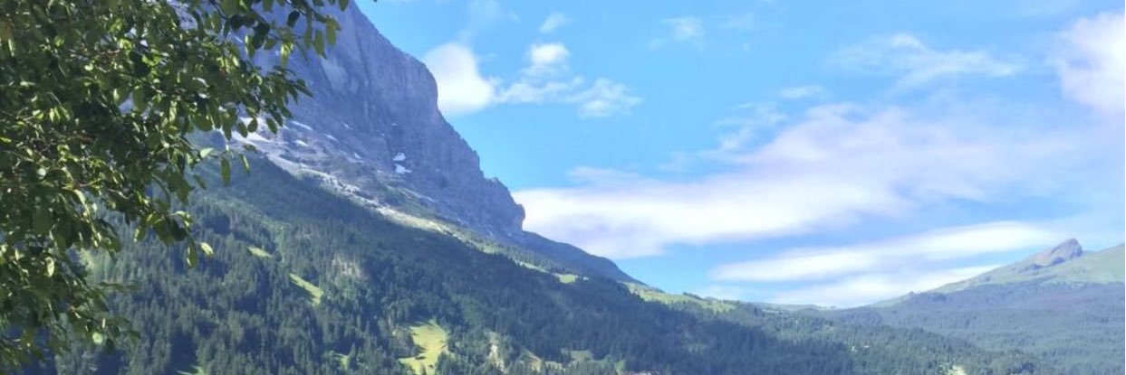 bnojs's profile banner image