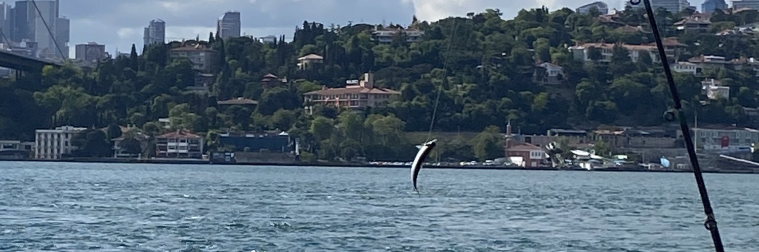 memretemur's profile banner image