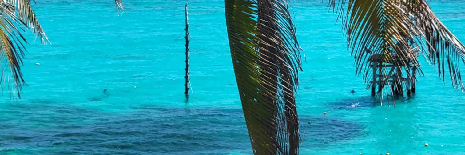 lolo__be's profile banner image