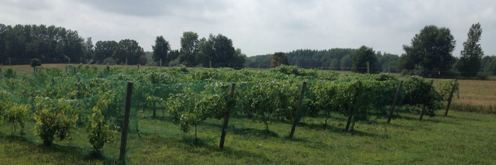 Michael Smith banner