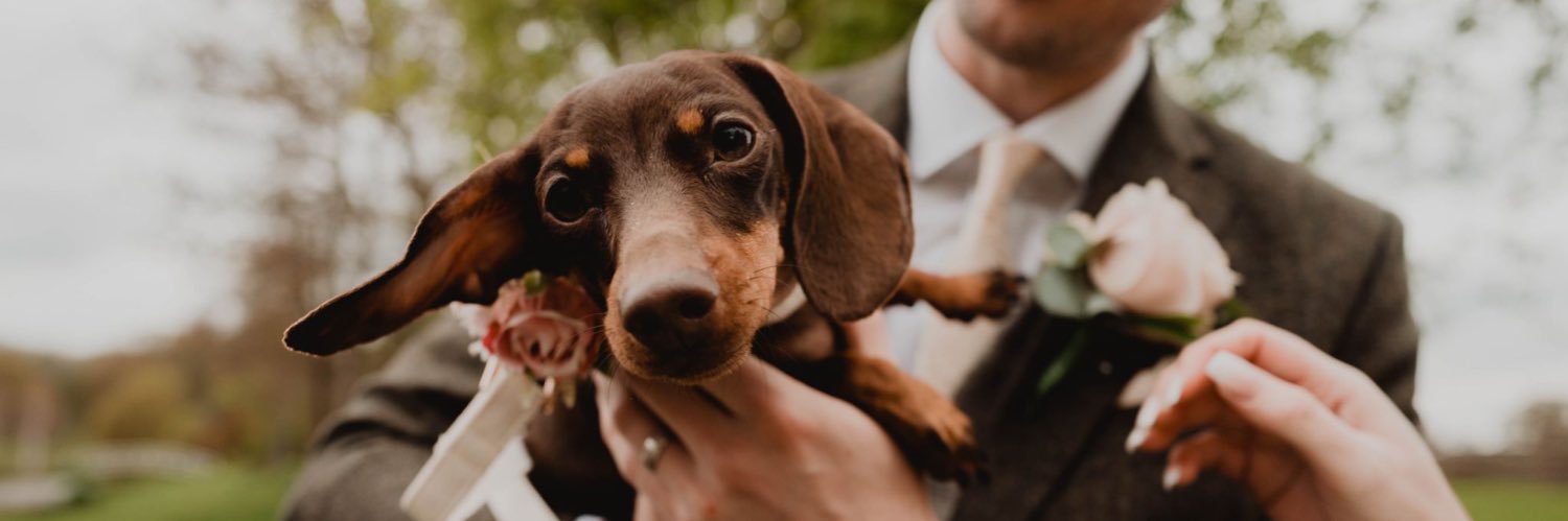 Mack Ashworth banner