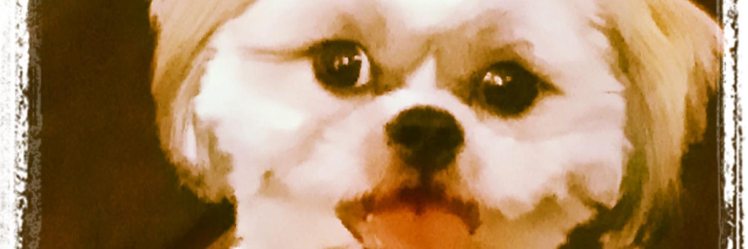 rocktee4's profile banner image