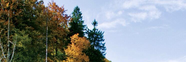 dyannee22's profile banner image