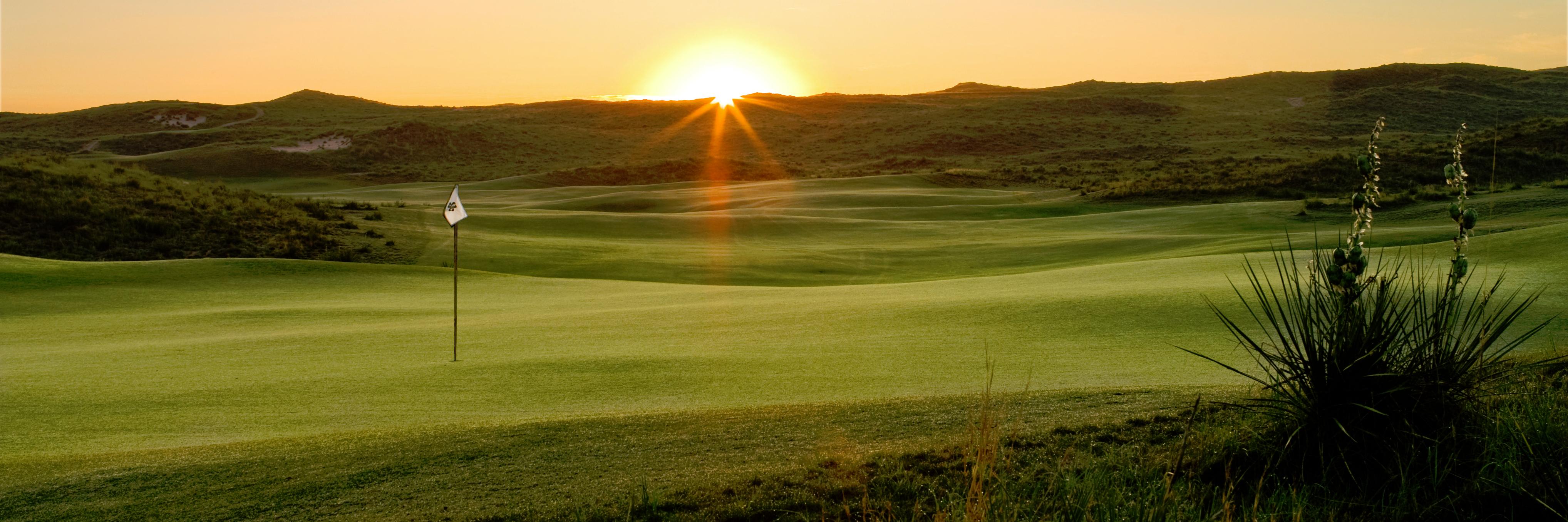 Ballyneal's profile banner image