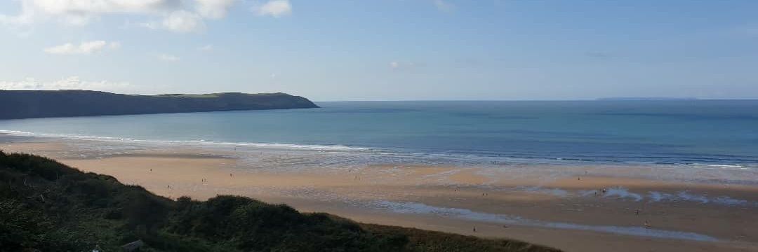 Flip (she/her) banner