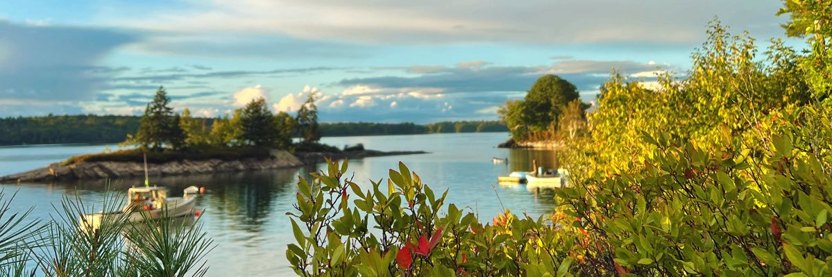 genmarie83's profile banner image