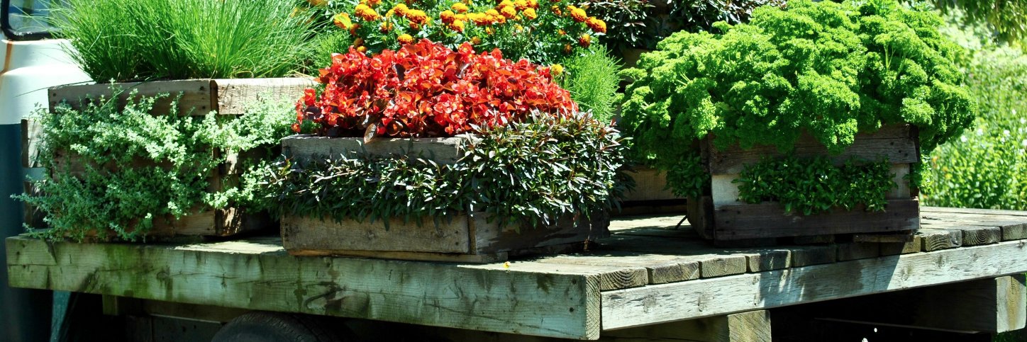 NatGardens's profile banner image