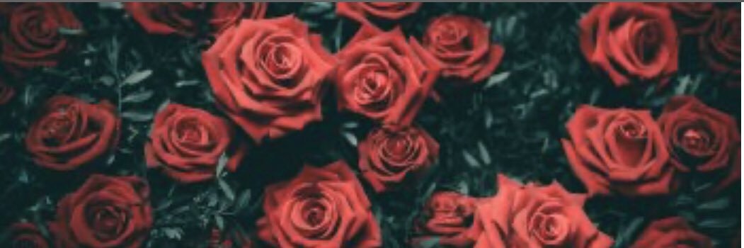 T 💋 banner