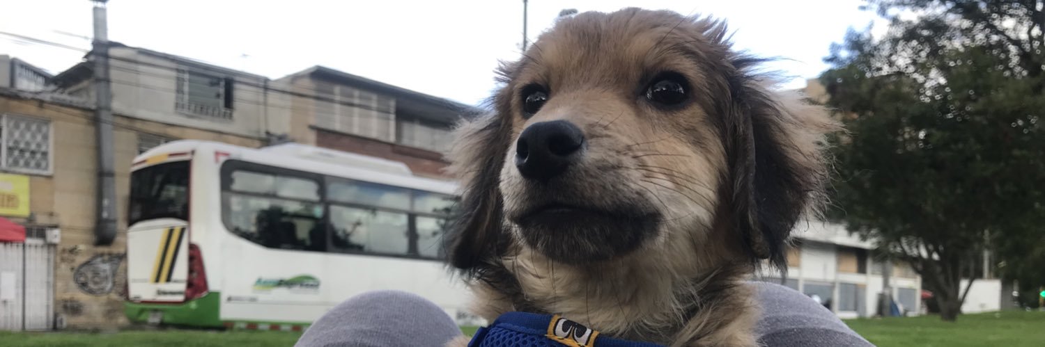 Blumy_'s profile banner image