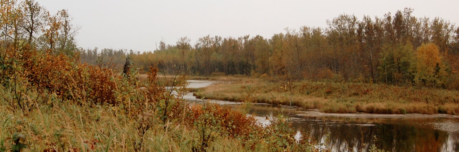 skhoffma's profile banner image