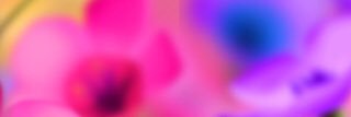 noofy25's profile banner image