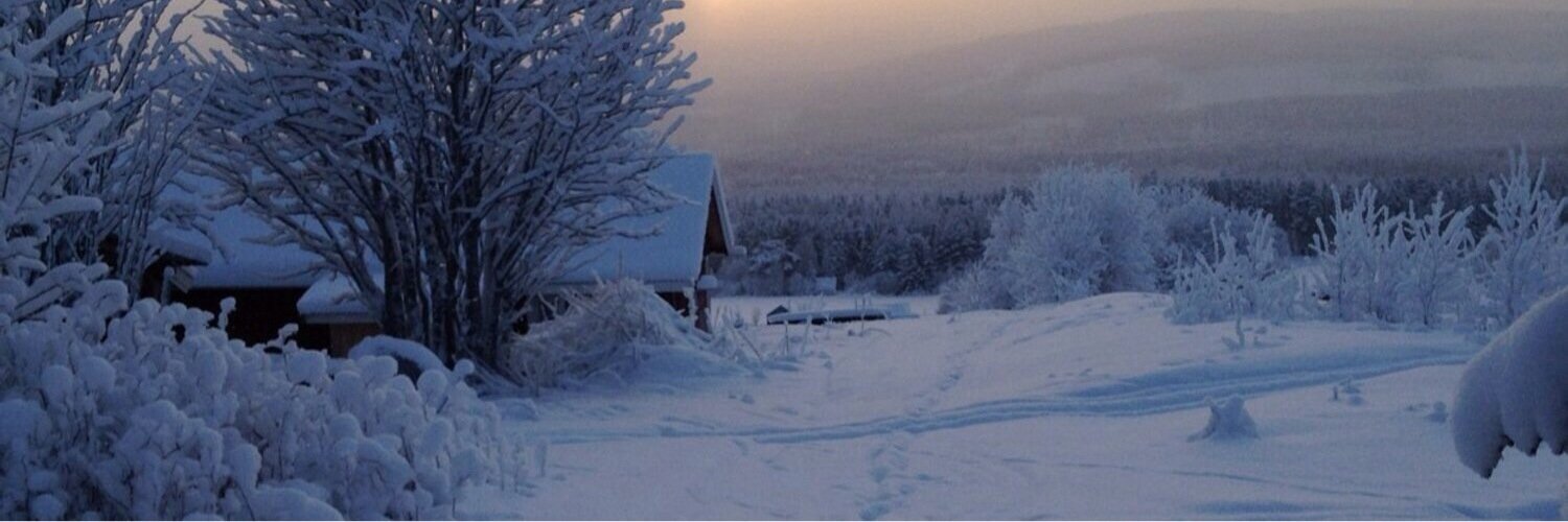 linaaslund's profile banner image