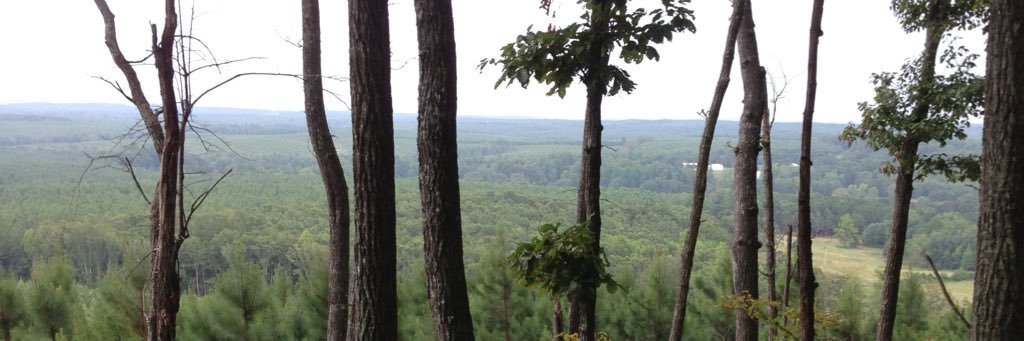darski33's profile banner image