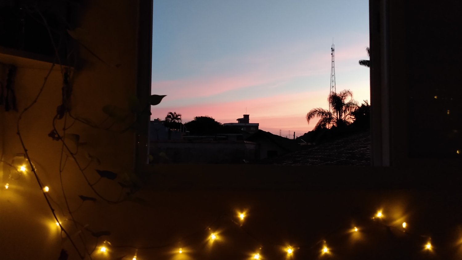 🍃 banner