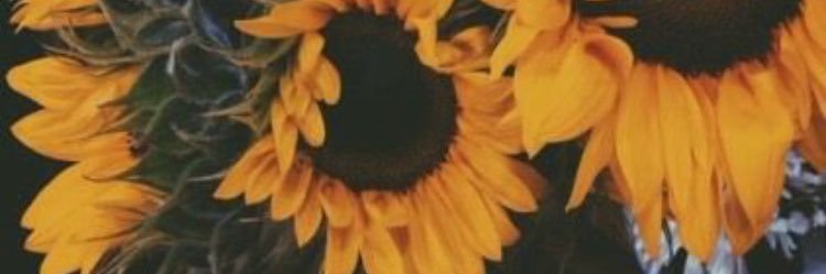 WhiteyMarie's profile banner image