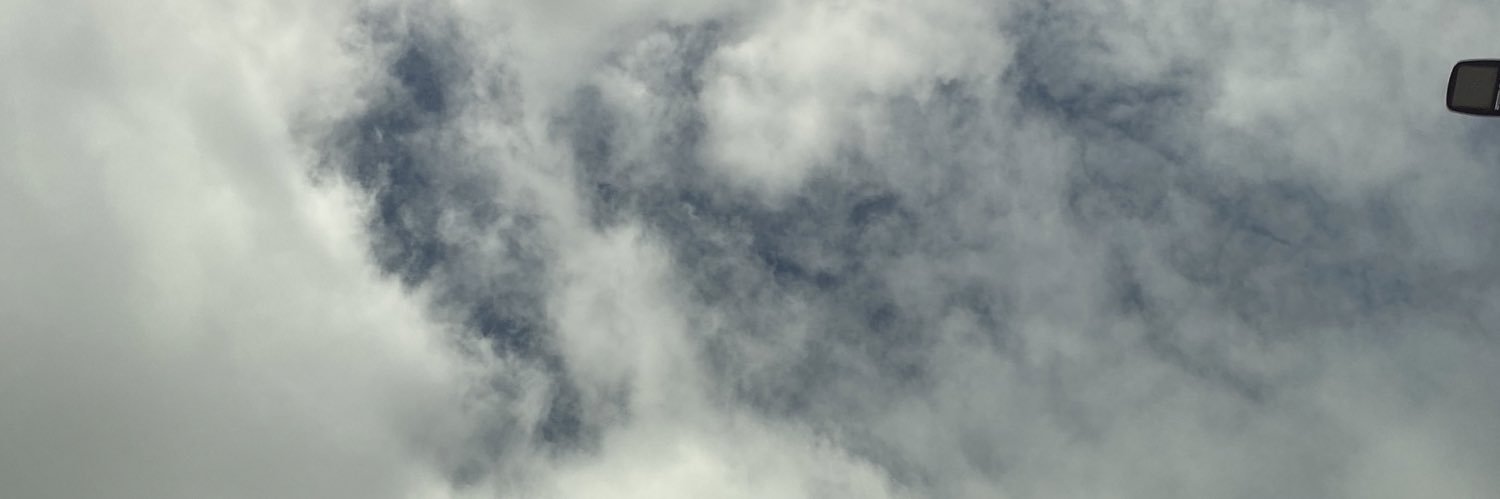 Chrissy_Dem's profile banner image