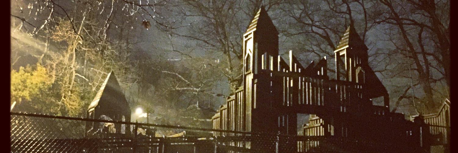 Ben Silver 🫐🍓 banner