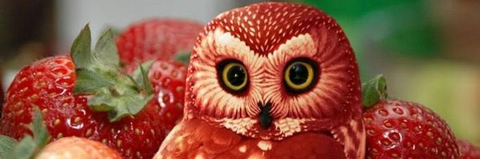 catsturbation's profile banner image