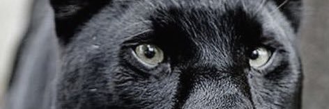 binhmd's profile banner image
