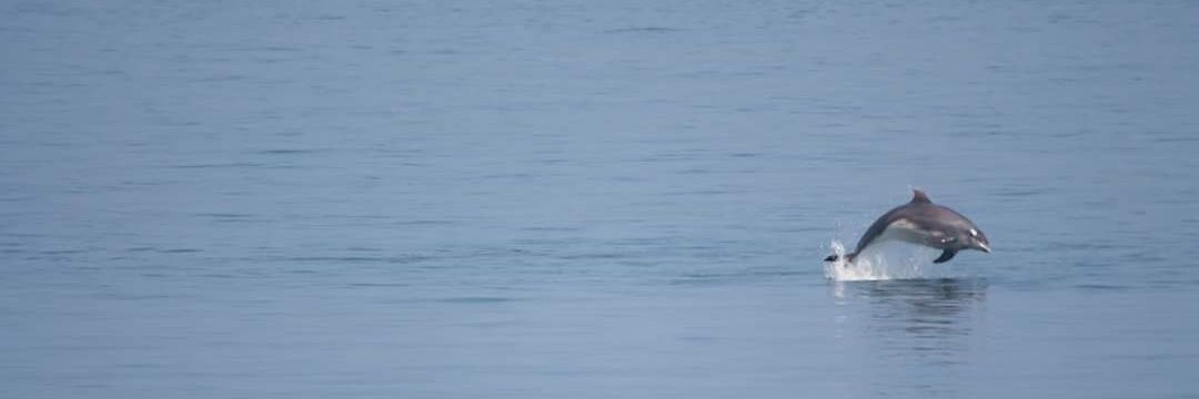 MarkKilby1's profile banner image