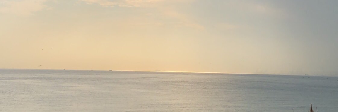 22Noory's profile banner image
