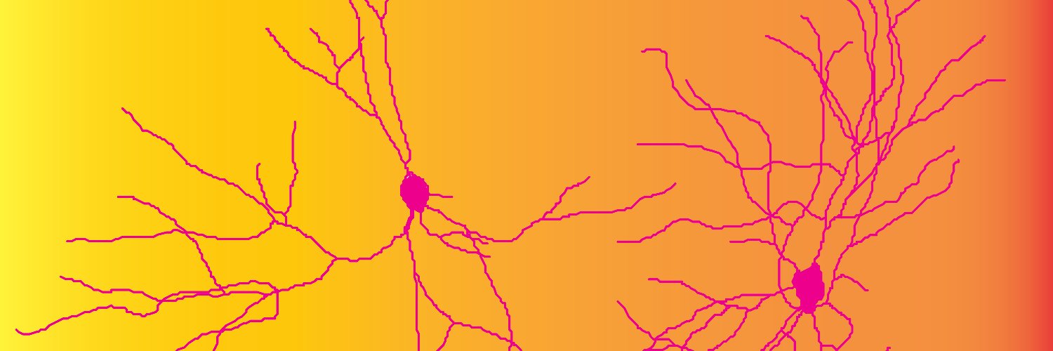 Audrey C. Brumback, MD, PhD banner