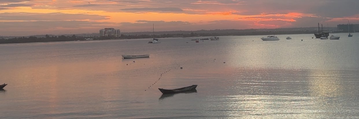 MissLintu's profile banner image