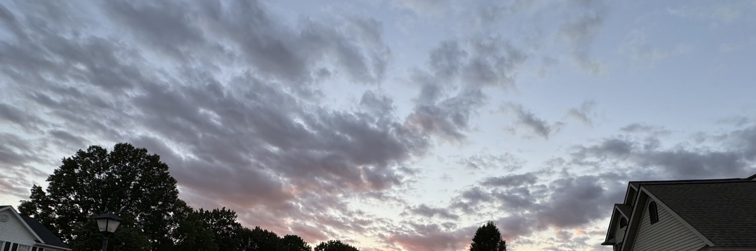 abbirayne's profile banner image