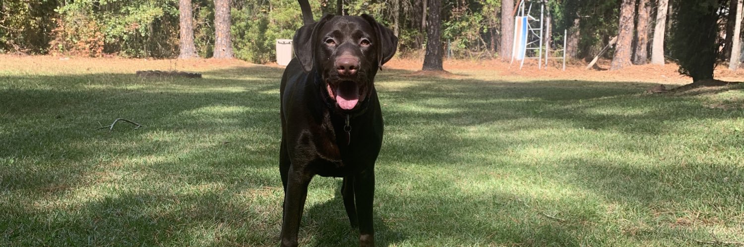 DesireeBrantley's profile banner image