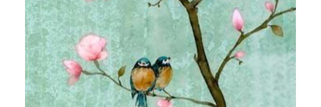hrb884's profile banner image