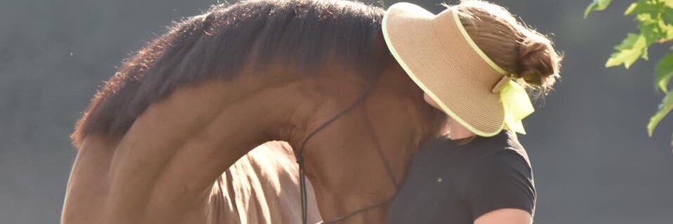 Alexa Eleanor banner